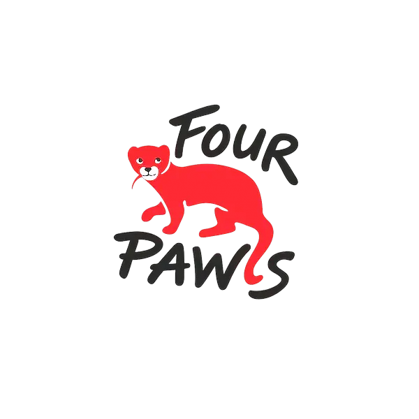 four_paws_bright-1